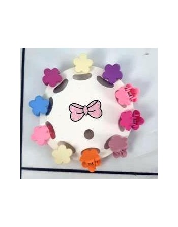 BROCHE PLASTICO MINI...