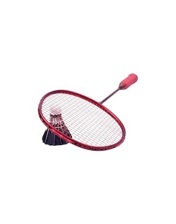 SET RAQUETAS BADMINGTON EN RED