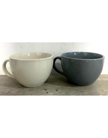 TAZON C ASA 520ml COLORES