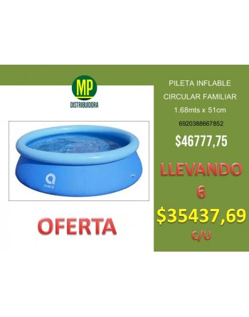 - OFERTA PILETA ARO INFLABLE -